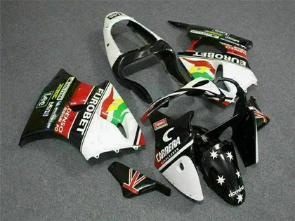 2000-2002 Kawasaki ZX-6R Custom Fairing Kit