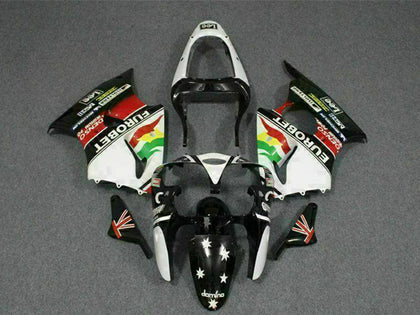 2000-2002 Kawasaki ZX-6R Custom Fairing Kit