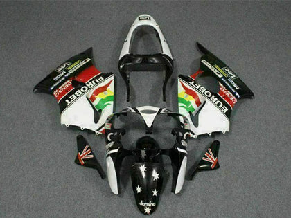 2000-2002 Kawasaki ZX-6R Custom Fairing Kit
