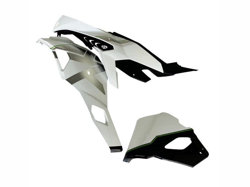 Purchase 2019-2025 White Silver Green Black Trick Star Kawasaki ZX25R ZX-25R Motorcycle Fairings UK