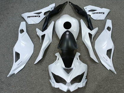 2019-2025 Kawasaki ZX-4RR / ZX4R White Matte Black Fairing Kit