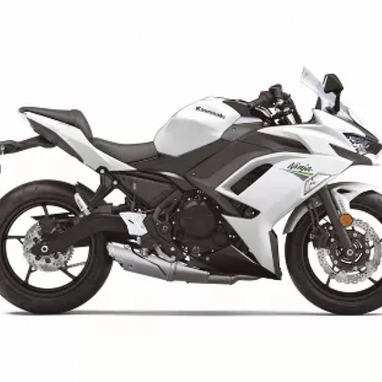 2020-2026 Kawasaki Ninja 650 Custom Fairing Kit