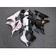 2007-2008 Honda CBR600RR Black/white Split Fairing Kit