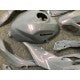 2024-2025 Kawasaki Ninja 500 Chameleon Gray/pink Fairing Kit