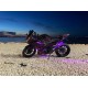 2017-2023 Kawasaki Ninja 400 Chameleon Fairing Kit
