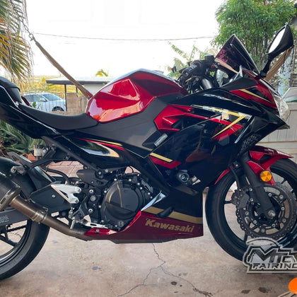 2017-2023 Kawasaki Ninja 400 Chameleon Stickers Fairing Kit